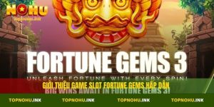 Fortune Gems
