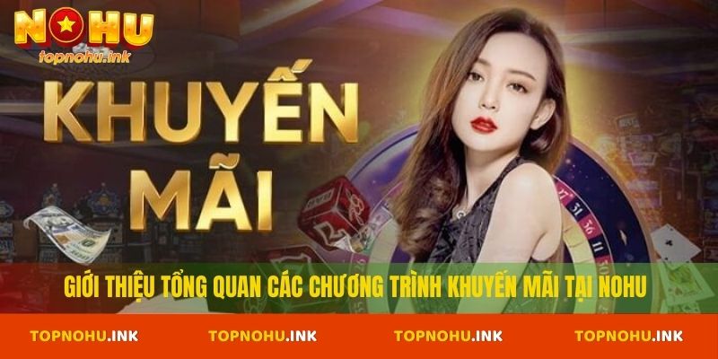 Giới thiệu tổng quan các chương trình khuyến mãi tại Nohu